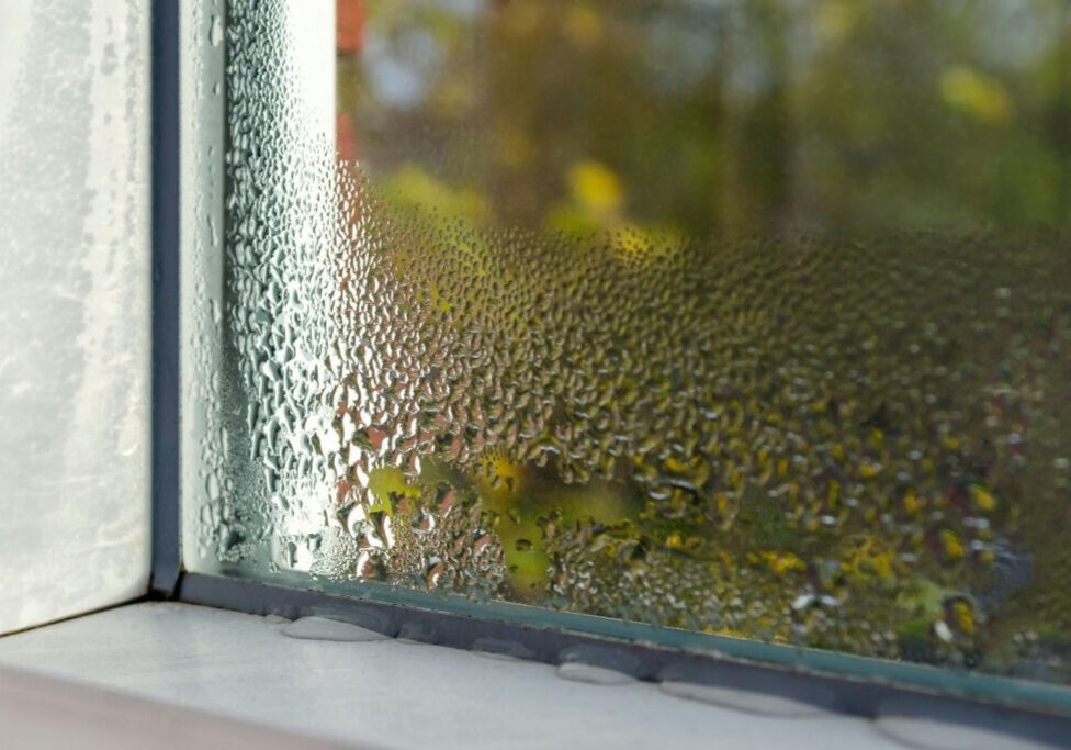 damp window of a basement apartment