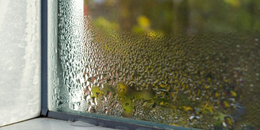 damp window of a basement apartment