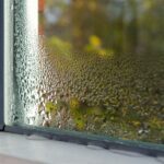 damp window of a basement apartment